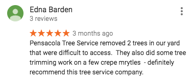 Review of Pensacola Tree Service LLC
