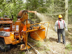 Wood Chipping Service Photo